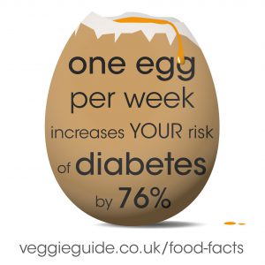 One egg per week increases diabetes risk