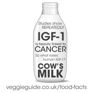 Cow\'s milk causes an increase in IGF-1 which is linked to cancer