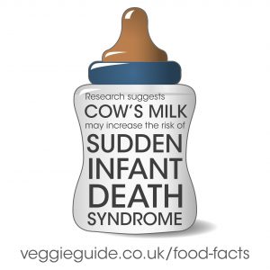 Cow's milk consumption has been linked to sudden infant death syndrome in babies