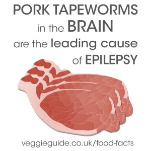The leading cause of epilepsy in the world is pork tapeworms